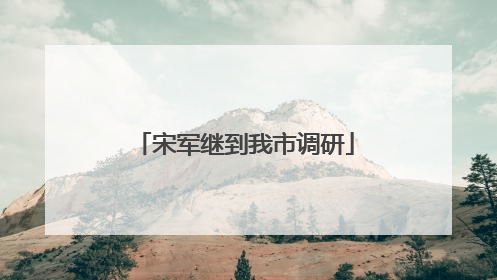 宋军继到我市调研