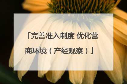 完善准入制度 优化营商环境（产经观察）