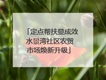 定点帮扶显成效 水景湾社区农贸市场焕新升级