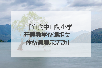 宜宾中山街小学开展数学备课组集体备课展示活动