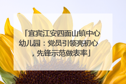 宜宾江安四面山镇中心幼儿园：党员引领亮初心，先锋示范做表率