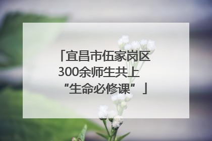 宜昌市伍家岗区300余师生共上“生命必修课”