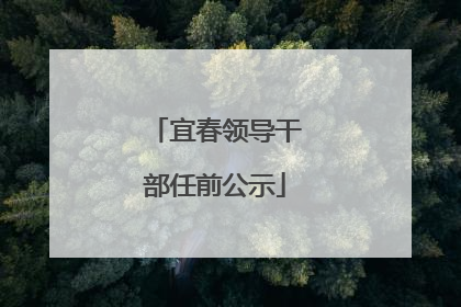 宜春领导干部任前公示