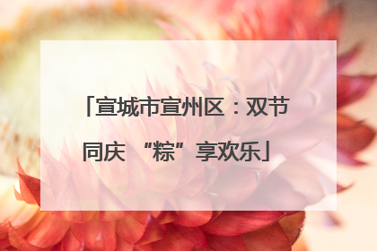 宣城市宣州区：双节同庆 “粽”享欢乐