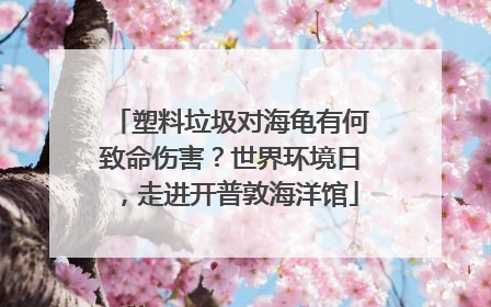 塑料垃圾对海龟有何致命伤害？世界环境日，走进开普敦海洋馆