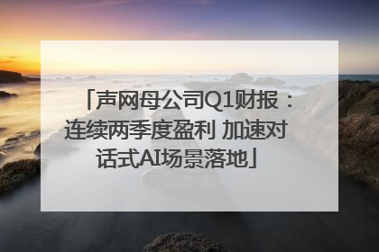 声网母公司Q1财报：连续两季度盈利 加速对话式AI场景落地