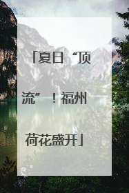 夏日“顶流”！福州荷花盛开