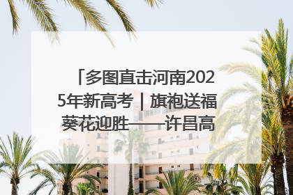 多图直击河南2025年新高考｜旗袍送福 葵花迎胜——许昌高考首日拉开帷幕