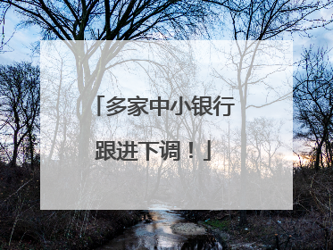 多家中小银行跟进下调！