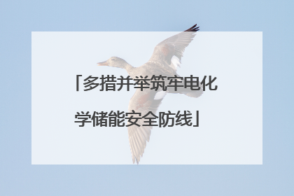 多措并举筑牢电化学储能安全防线