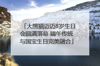 大熊猫迈迈8岁生日会圆满落幕 端午传统与国宝生日完美融合