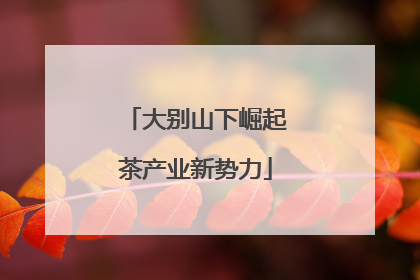 大别山下崛起茶产业新势力