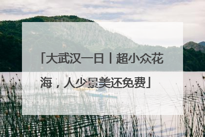 大武汉一日丨超小众花海，人少景美还免费