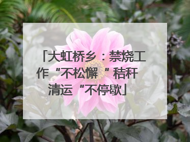 大虹桥乡：禁烧工作“不松懈“ 秸秆清运“不停歇