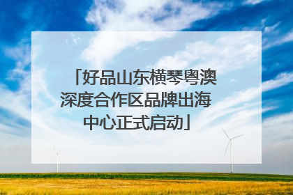 好品山东横琴粤澳深度合作区品牌出海中心正式启动