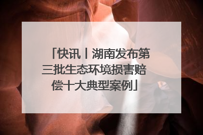 快讯丨湖南发布第三批生态环境损害赔偿十大典型案例