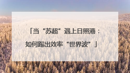 当“苏超”遇上日照港：如何踢出效率“世界波”