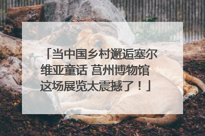 当中国乡村邂逅塞尔维亚童话 莒州博物馆这场展览太震撼了！
