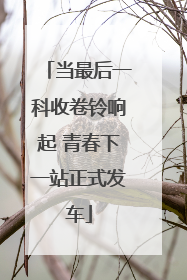 当最后一科收卷铃响起 青春下一站正式发车