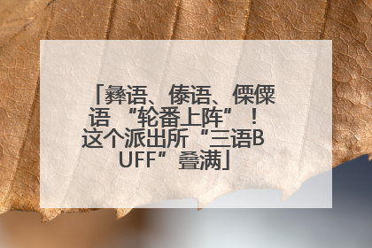 彝语、傣语、傈僳语 “轮番上阵”！这个派出所“三语BUFF”叠满