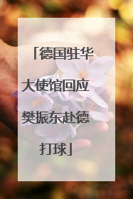 德国驻华大使馆回应樊振东赴德打球