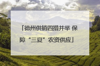 德州供销四措并举 保障“三夏”农资供应