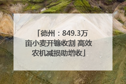 德州：849.3万亩小麦开镰收割 高效农机减损助增收