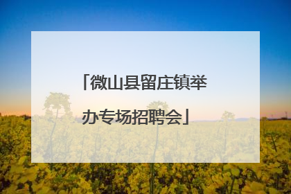 微山县留庄镇举办专场招聘会