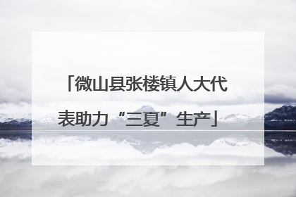 微山县张楼镇人大代表助力“三夏”生产