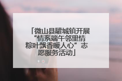 微山县驩城镇开展“情系端午邻里情 粽叶飘香暖人心”志愿服务活动