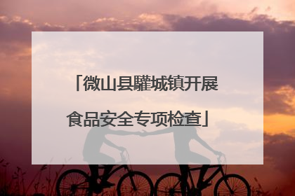 微山县驩城镇开展食品安全专项检查