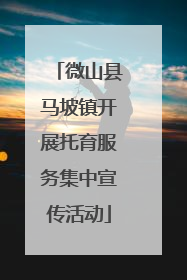 微山县马坡镇开展托育服务集中宣传活动