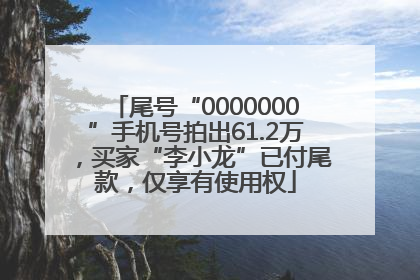 尾号“0000000”手机号拍出61.2万，买家“李小龙”已付尾款，仅享有使用权