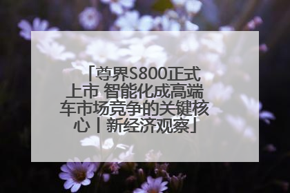 尊界S800正式上市 智能化成高端车市场竞争的关键核心丨新经济观察