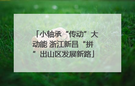 小轴承“传动”大动能 浙江新昌“拼”出山区发展新路