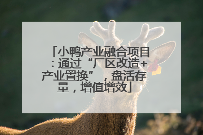 小鸭产业融合项目：通过“厂区改造+产业置换”，盘活存量，增值增效