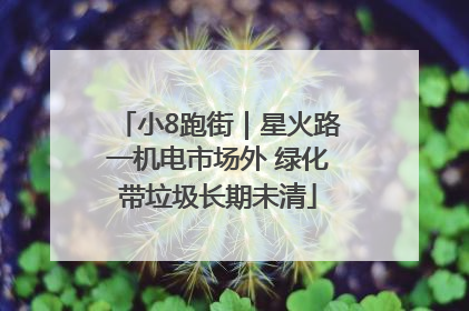 小8跑街｜星火路一机电市场外 绿化带垃圾长期未清