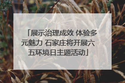 展示治理成效 体验多元魅力 石家庄将开展六五环境日主题活动