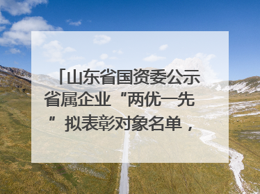 山东省国资委公示省属企业“两优一先”拟表彰对象名单，共250名（个）党员和党组织