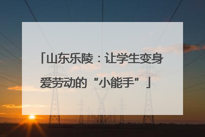 山东乐陵：让学生变身爱劳动的“小能手”