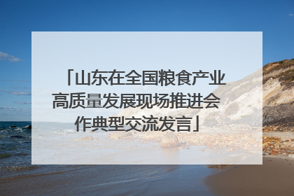 山东在全国粮食产业高质量发展现场推进会作典型交流发言