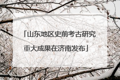 山东地区史前考古研究重大成果在济南发布
