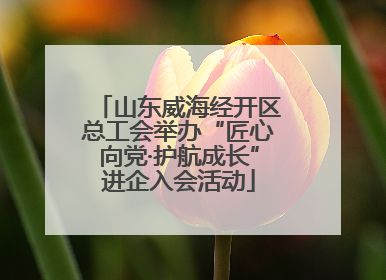 山东威海经开区总工会举办“匠心向党·护航成长”进企入会活动