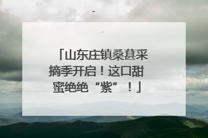山东庄镇桑葚采摘季开启！这口甜蜜绝绝“紫”！