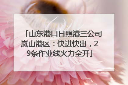 山东港口日照港三公司岚山港区：快进快出，29条作业线火力全开