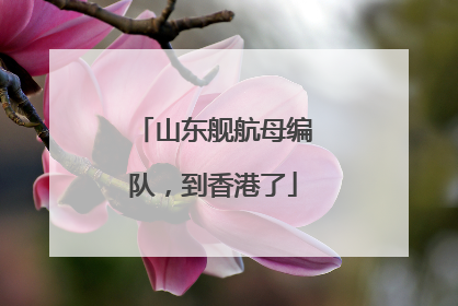 山东舰航母编队，到香港了