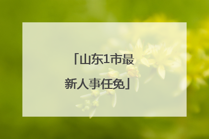 山东1市最新人事任免