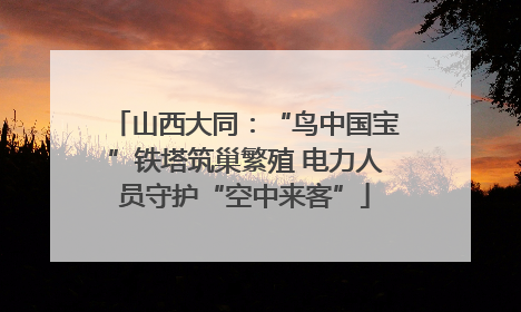 山西大同：“鸟中国宝”铁塔筑巢繁殖 电力人员守护“空中来客”