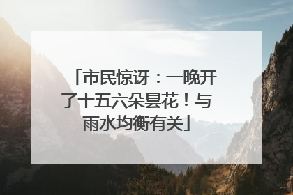市民惊讶：一晚开了十五六朵昙花！与雨水均衡有关