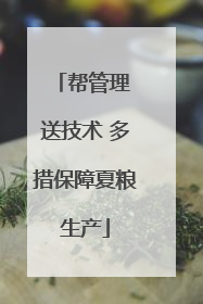 帮管理 送技术 多措保障夏粮生产